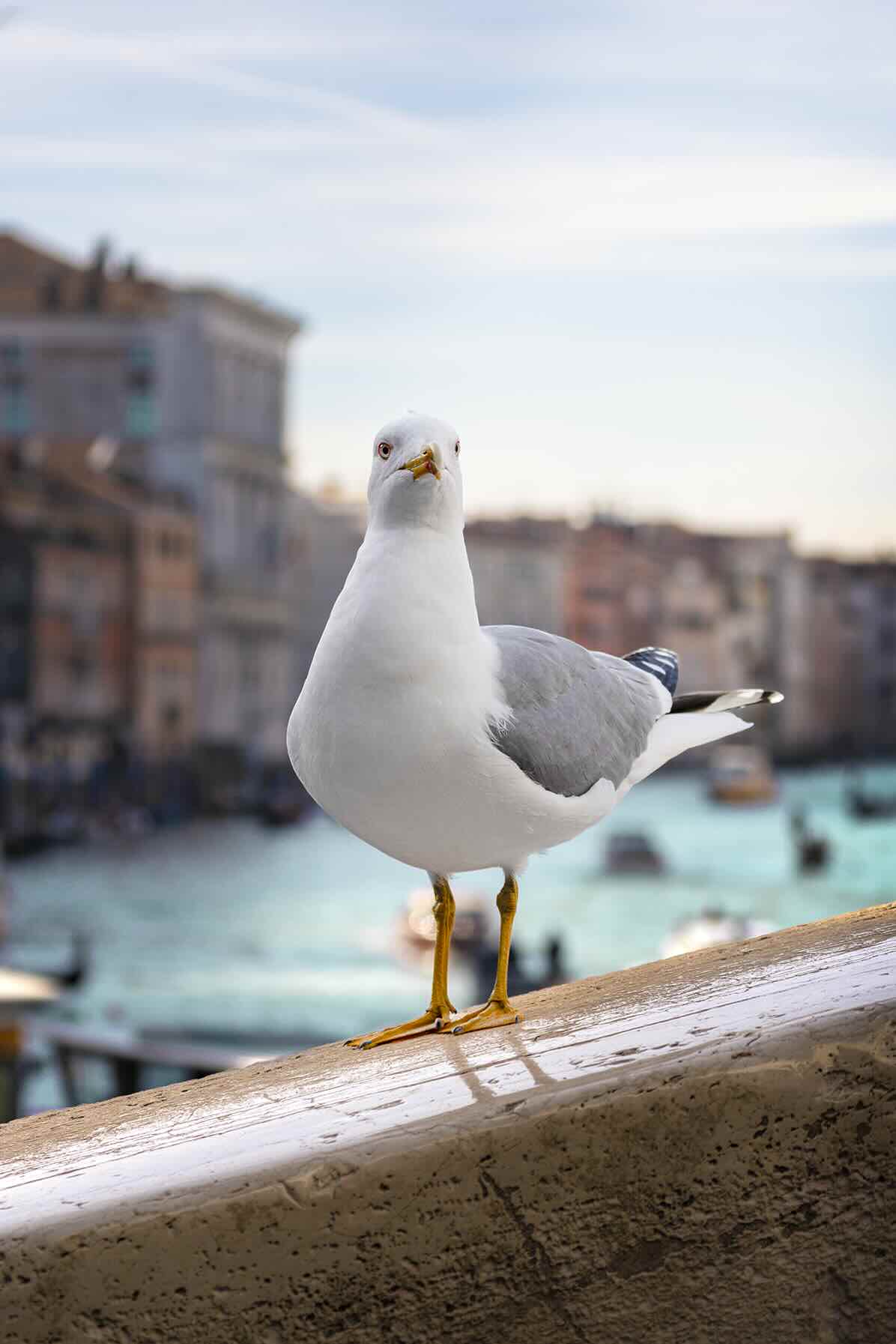 JessProd - Photographie de voyage